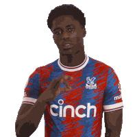 Lets Go Win Sticker by Crystal Palace Football Club