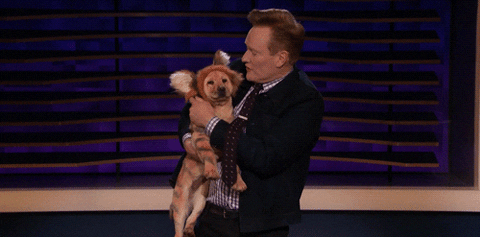 Dogs Conan Obrien GIF by Team Coco