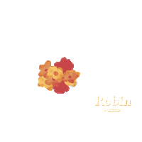 robincollection summer flowers spring sunny Sticker