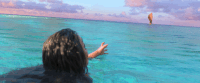 GIF by Moana