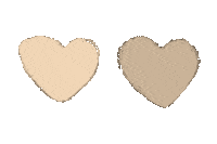 Photography Hearts Sticker