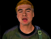 Wildflower GIF by 5 Seconds of Summer