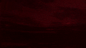 Afas Stadion Wit GIF by AZ Alkmaar