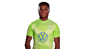 Soccer Sticker Sticker by VfL Wolfsburg