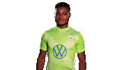 Soccer Sticker Sticker by VfL Wolfsburg