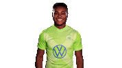 Soccer Sticker Sticker by VfL Wolfsburg