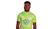 Soccer Sticker Sticker by VfL Wolfsburg