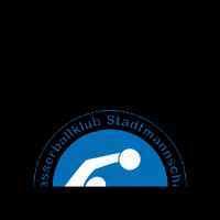WBK_SMZ logo game day zurich waterpolo GIF