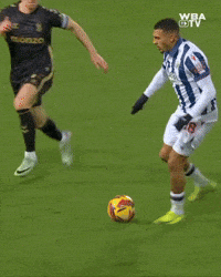 West Brom Championship GIF by West Bromwich Albion