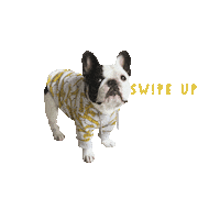 spottedbyhumphrey swipe up shopping swipe shop Sticker