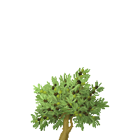 Oliveoil Sticker by haus centrifuge technologies