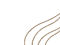 karaakemi brown lines karaakemi scriptedbykara Sticker