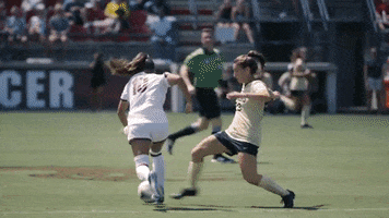 Ncaa Soccer GIF by gamecocksonline