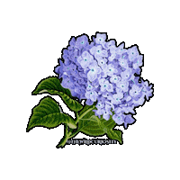 Blue Flowers Flower Sticker by The Wild Curiosity