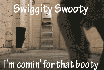 Booty Koala GIF