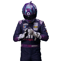 Alex Bowman Nascar Sticker by AllyRacing