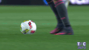 ligue 1 soccer GIF by Toulouse Football Club