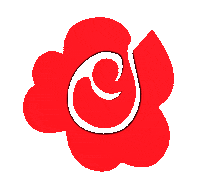 rosa Sticker by Radicali Italiani