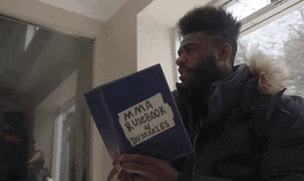 Aljamain Sterling Sport GIF by UFC