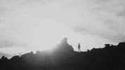 Wild GIF by Spoon