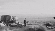 Wild GIF by Spoon