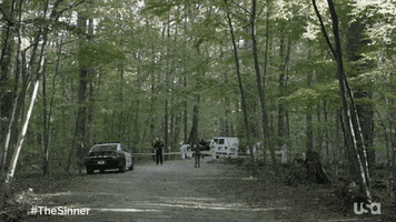 Season 3 Television GIF by The Sinner