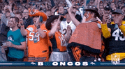 Denver Broncos Football GIF by NFL