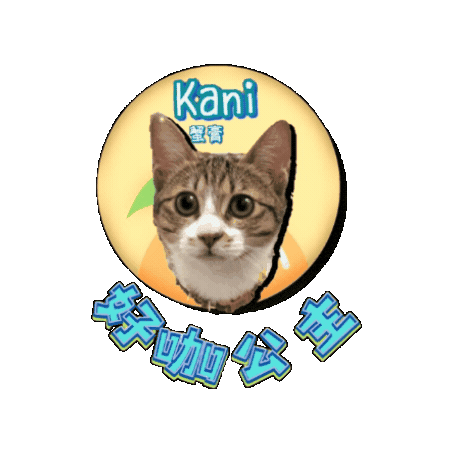 petso-llp logo orange pet line Sticker