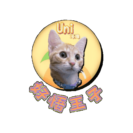 petso-llp logo orange pet line Sticker