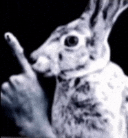 Dog Be Quiet GIF