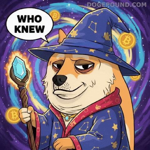 Who Knew Space GIF by Doge Pound