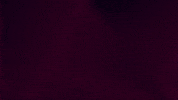 threesome love GIF by Mitteldeutscher Rundfunk