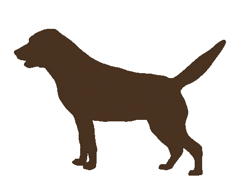 rogueartlab giphyupload dog excited chocolate Sticker