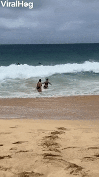 Strong Wave Slams Unprepared Swimmer Into The Sand GIF by ViralHog