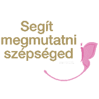 Segit Megmutatni Szepseged Sticker by Studex