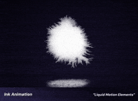 Animation Motion GIF by youmotion.com