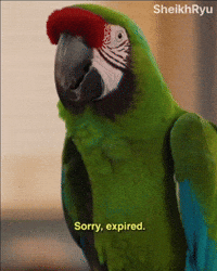 Sorry Macaw GIF
