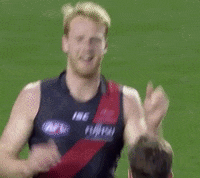 aaron francis celebration GIF by Essendon FC