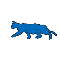 Blue Cat Sticker by Bear Hands