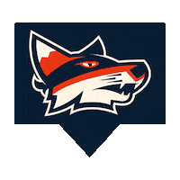 Basketball Abbotsford Sticker by Fraser Valley Bandits