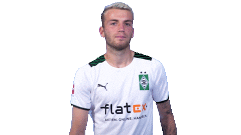 Bundesliga Jordan Sticker by Borussia Mönchengladbach