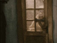 BertilEnstoring ture skrotnisse hemma ture björkman GIF