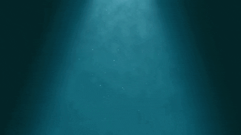 GIF by SaveMyBacon