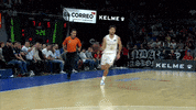 Real Madrid Basketball GIF by ACB