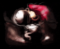 Night Canada GIF by Alex Boya