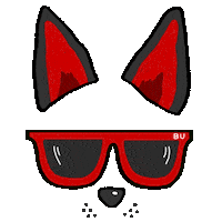 Boston Terrier Bu Sticker by Boston University