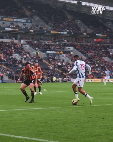 West Brom Championship GIF by West Bromwich Albion