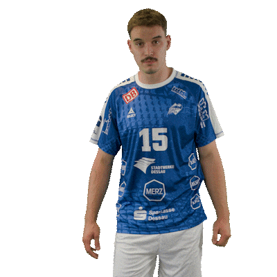 Handball Nowak Sticker by DAIKIN HBL