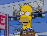 homer simpson GIF