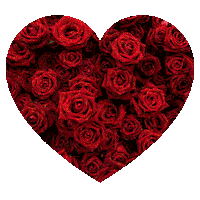 OnlyRoses love flowers romance valentines day Sticker